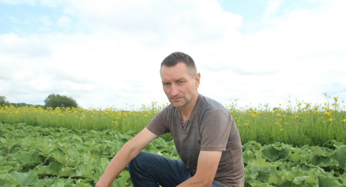 В Украине вводят новую овощную культуру, которая является мощным средством от опасной болезни - today.ua