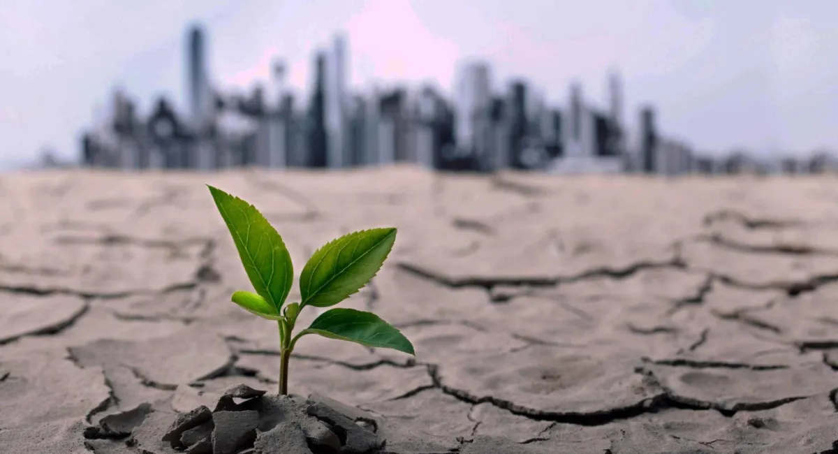 Такого не было уже миллионы лет: на Земле формируется новый тип климата - today.ua