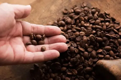 Убедитесь, что пьете не фальсификат: как быстро и просто проверить качество кофе