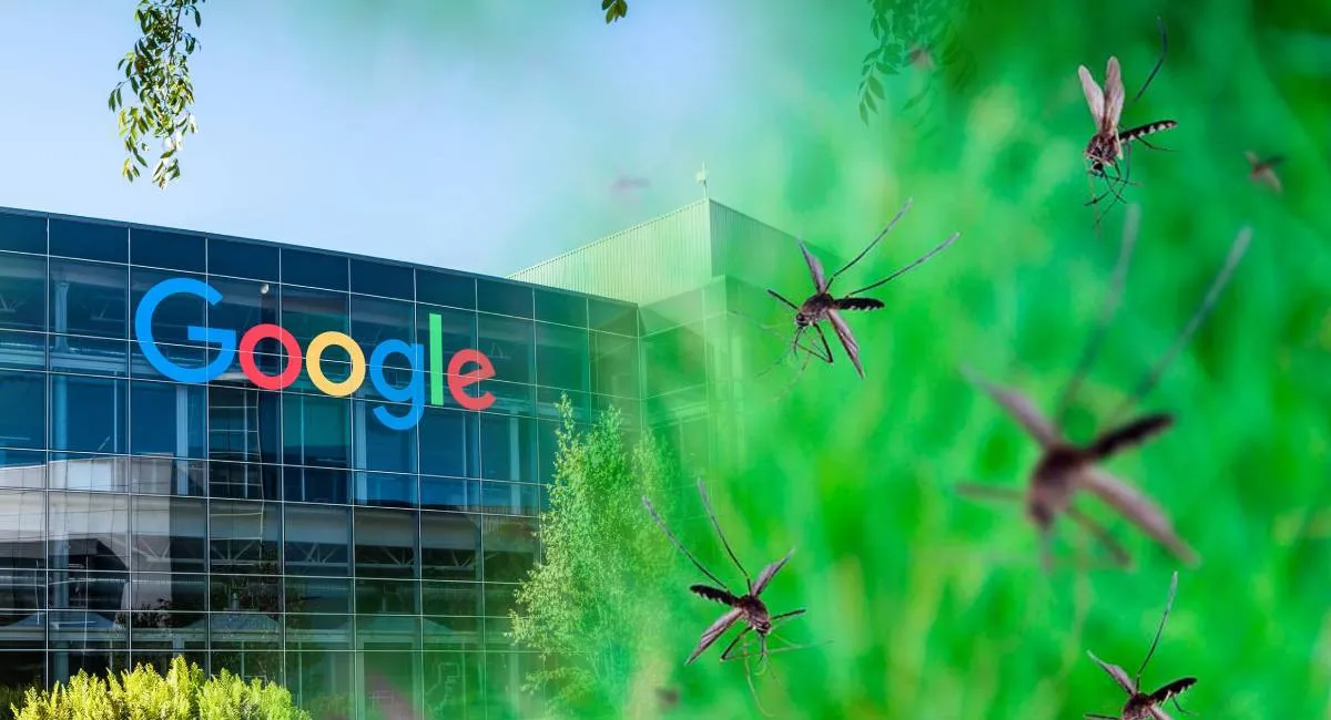 У США планують випустити мільйони комах від Google: що відомо про незвичний проєкт - today.ua