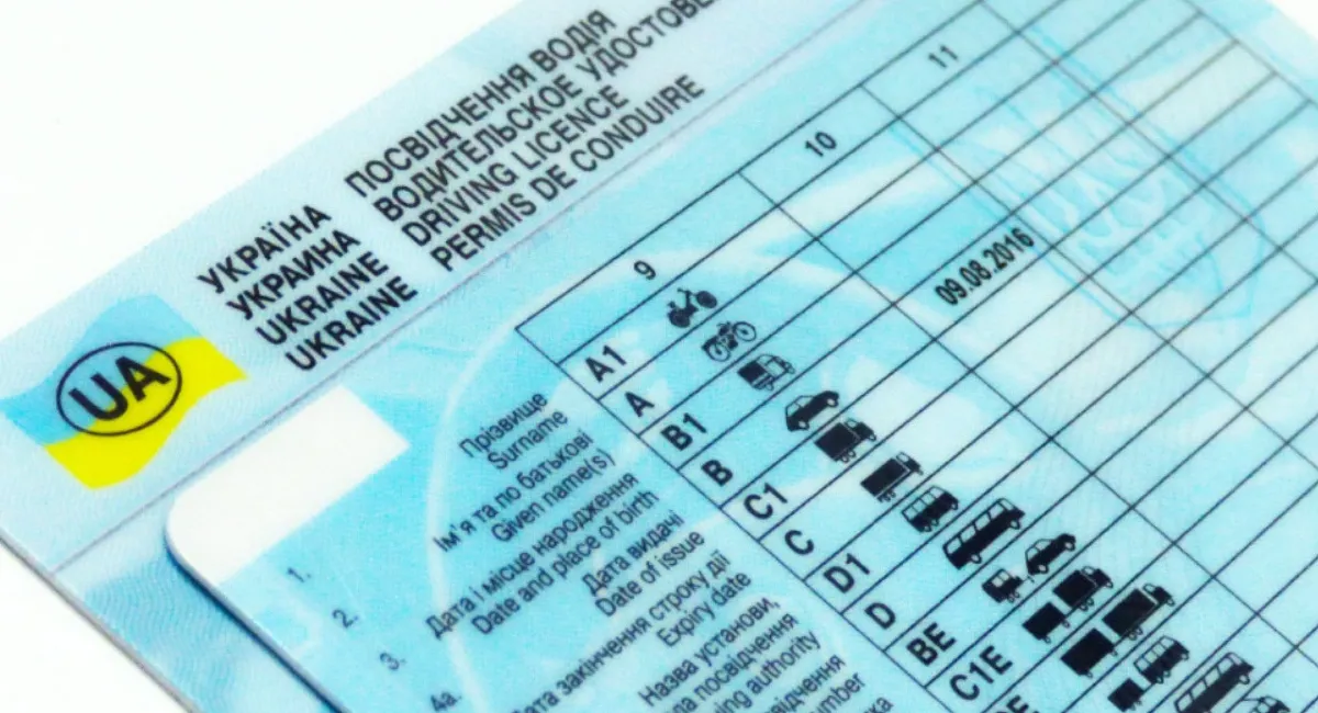 В МВС розповіли, як убезпечити себе від шахраїв, що продають фальшиві посвідчення водія - today.ua