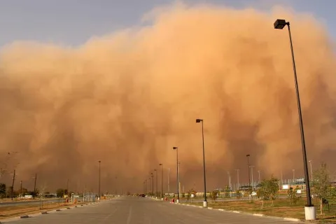 На Україну насувається сильний вітер та пилова буря: кілька областей приймуть удар стихії першими, -  Укргідрометцентр 