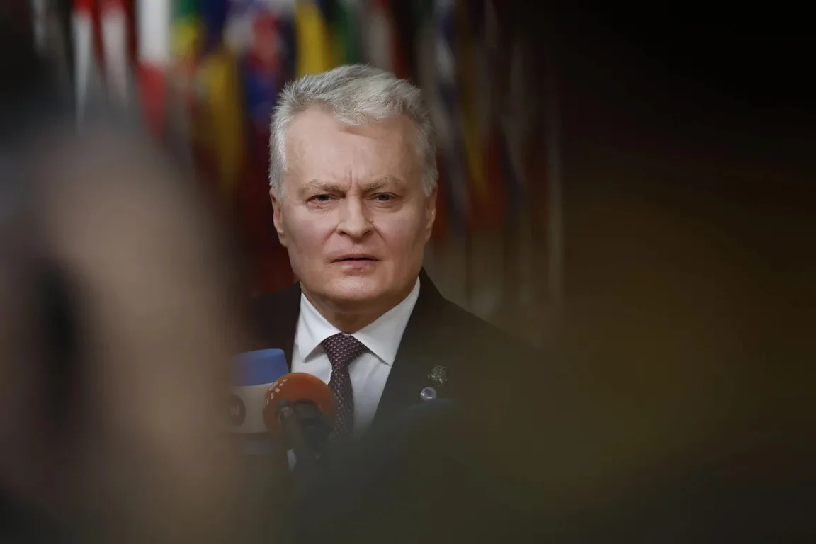 Президент Литвы сделал не слишком оптимистичное заявление о сроках завершении войны в Украине - today.ua
