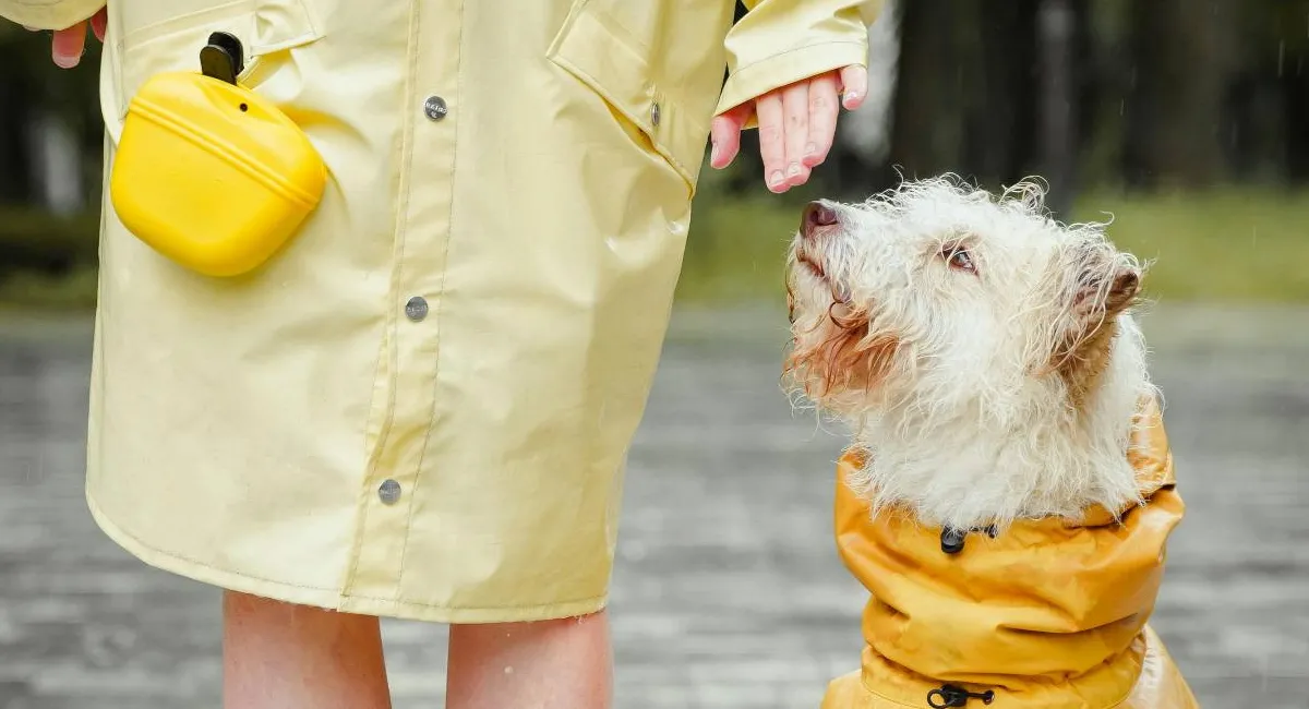 Понижение температуры, дожди и грозы: что прогнозируют синоптики на начало недели - today.ua