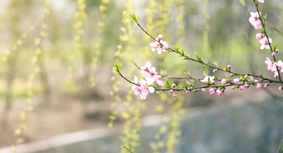 Чи буде цьогорічна весна в Україні теплою: синоптики приголомшили прогнозом - today.ua