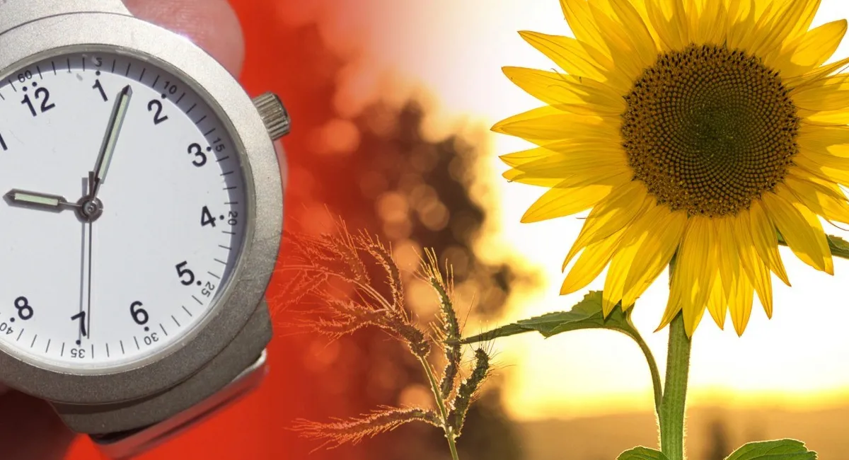 Переведення годинників на літній час: лікар пояснив, як легше адаптуватися до нового режиму - today.ua