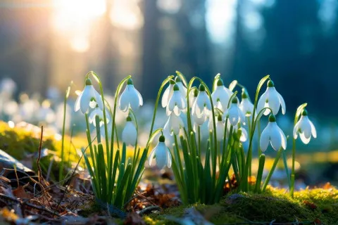 В Украине опять будут мороз и снег: синоптики ошеломили новым прогнозом погоды