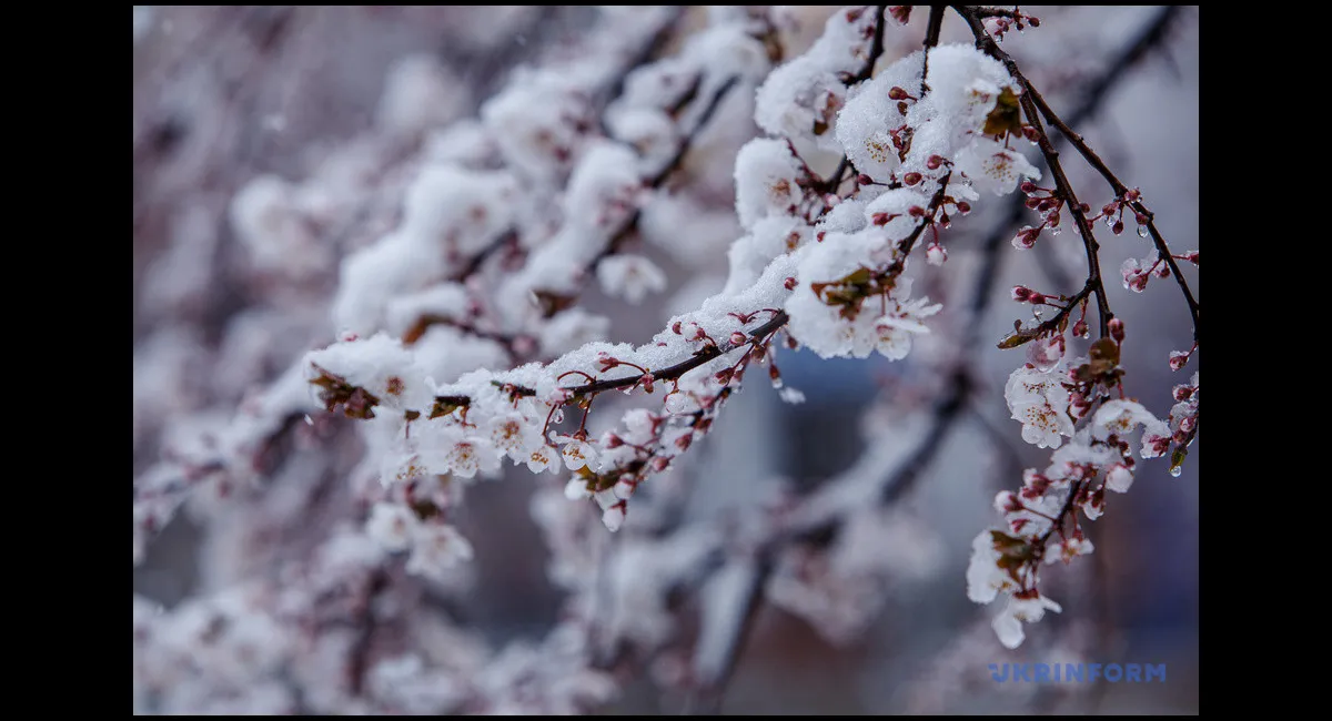 Снег, мороз, ледяной ветер: впечатлительным людям лучше не знать такого прогноза погоды - today.ua