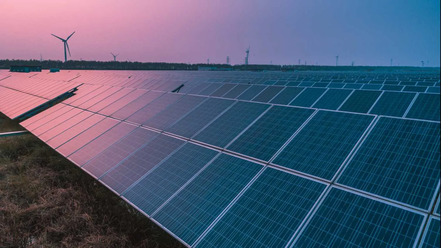 В Британии создали гибкие солнечные панели, которые заметно дешевле и эффективнее обычных батарей В Британии создали гибкие солнечные панели, которые заметно дешевле и эффективнее обычных батарей - today.ua