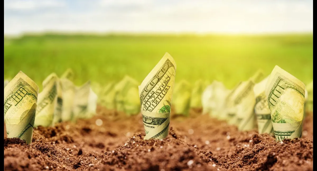 В Україні подешевшала земля: актуальні ціни на ділянки у березні - today.ua