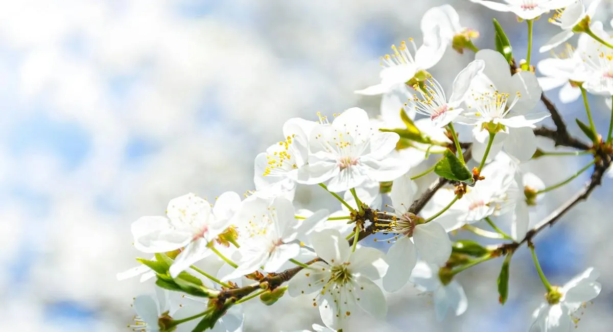 На летнюю жару не стоит рассчитывать: синоптик рассказала, когда потеплеет в Украине - today.ua