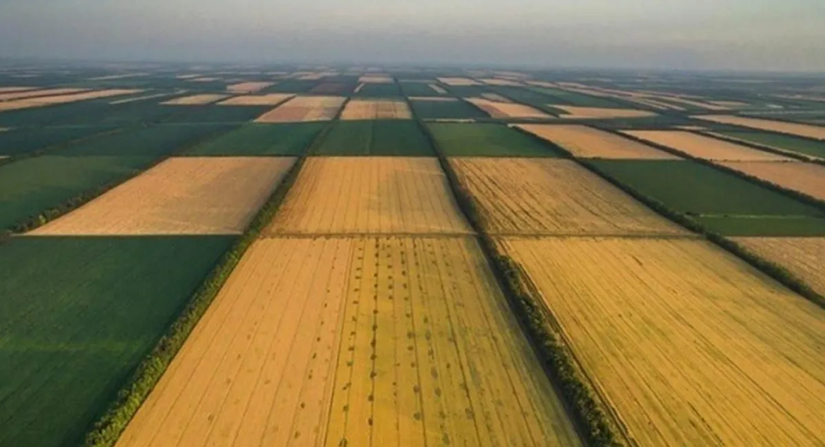 В Україні суттєво зросли ціни на землю: стало відомо, де цей ресурс найдорожчий - today.ua