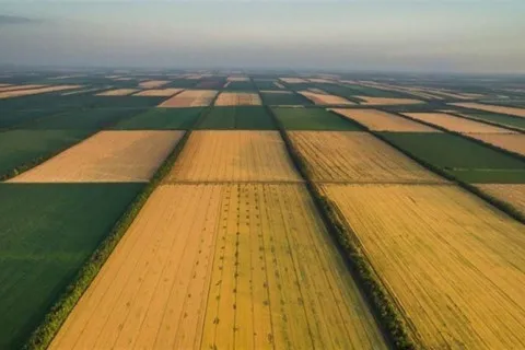 В Україні суттєво зросли ціни на землю: стало відомо, де цей ресурс найдорожчий