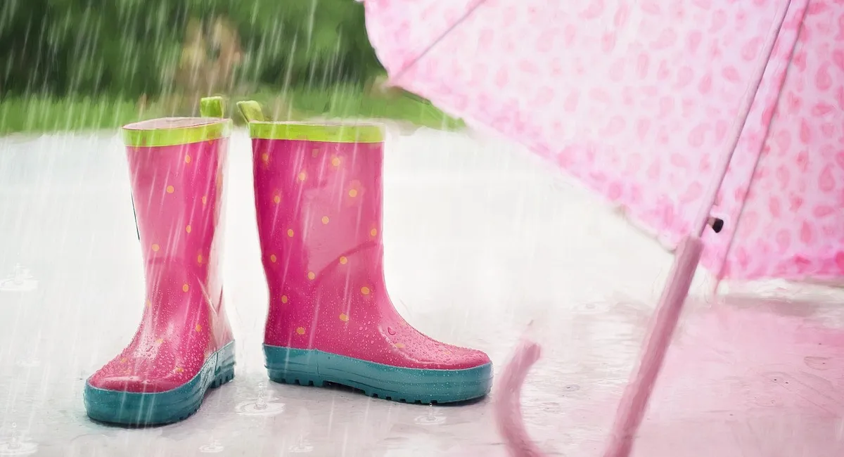 В Україні пройдуть дощі з грозами: синоптик розповів, у яких регіонах погіршиться погода - today.ua