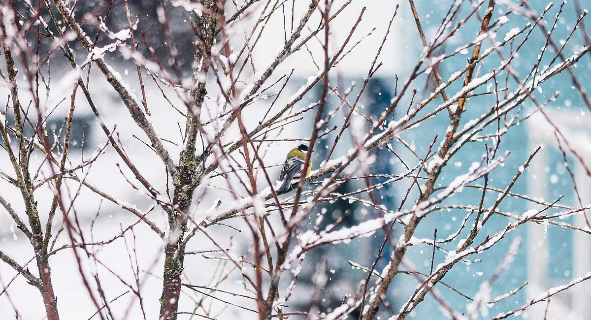 Синоптик назвала дату, когда в Украину придет похолодание и осадки: Еще успеем погреться - today.ua