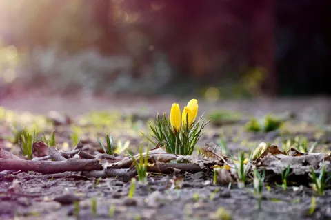 Укргідрометцентр оновив прогноз погоди: в Україну вже з середи почне повертатися тепло