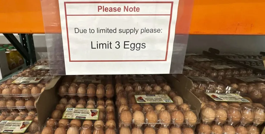 США остались без яиц, а в Европе не хватает несушек США остались без яиц, а в Европе не хватает несушек - today.ua