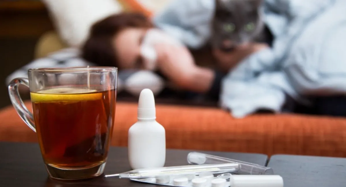 Следует сбивать даже 37,2: украинцам рассказали, как правильно лечить грипп - today.ua