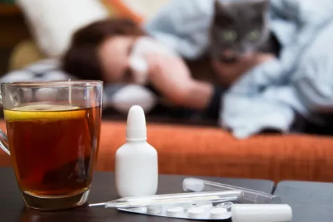 Следует сбивать даже 37,2: украинцам рассказали, как правильно лечить грипп