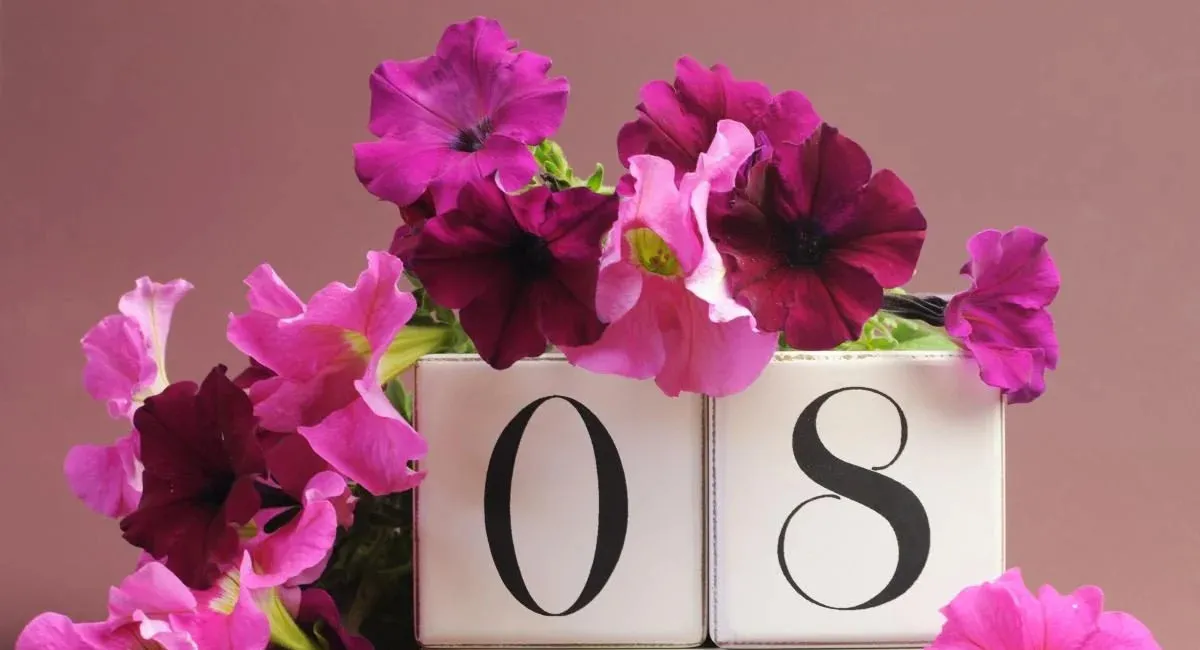 Останется ли 8 марта 2026 года праздником в Украине и будет ли выходной: что решило правительство - today.ua