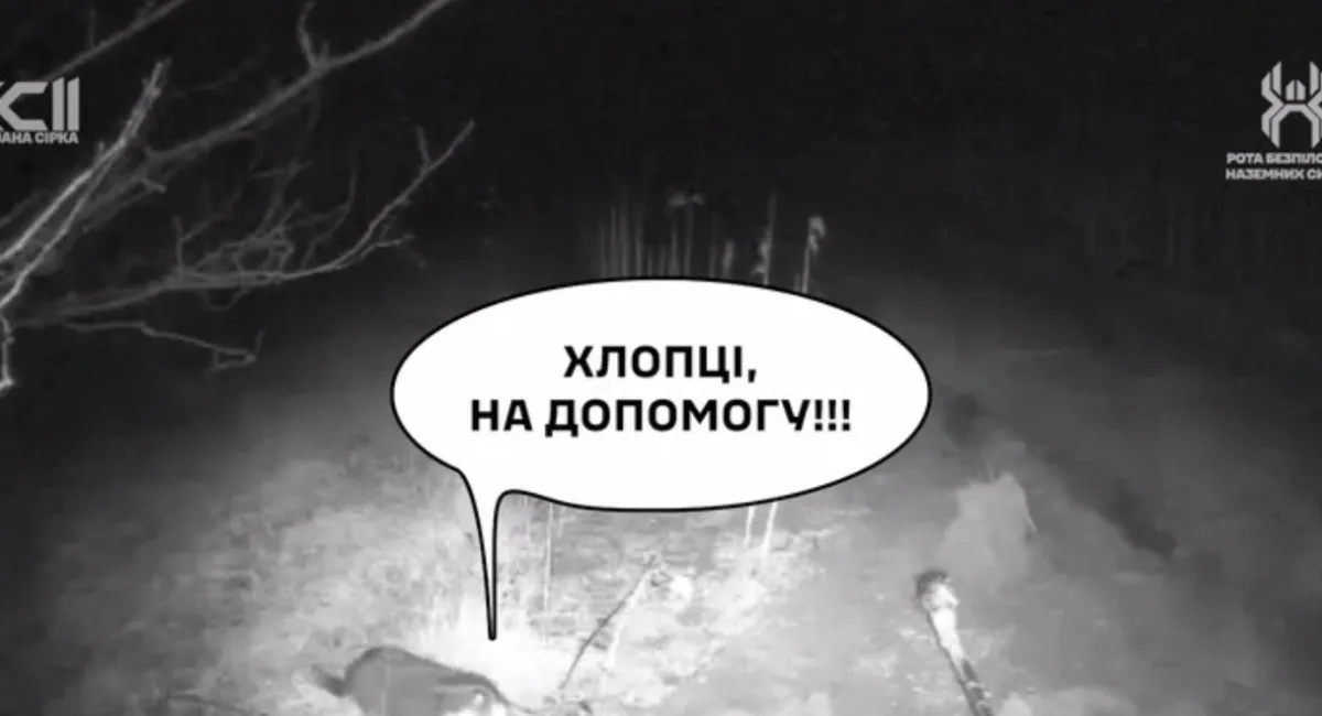 Фронтовой кот спас раненого бойца и наземный дрон: подробности удивительной истории 92-й бригады - today.ua