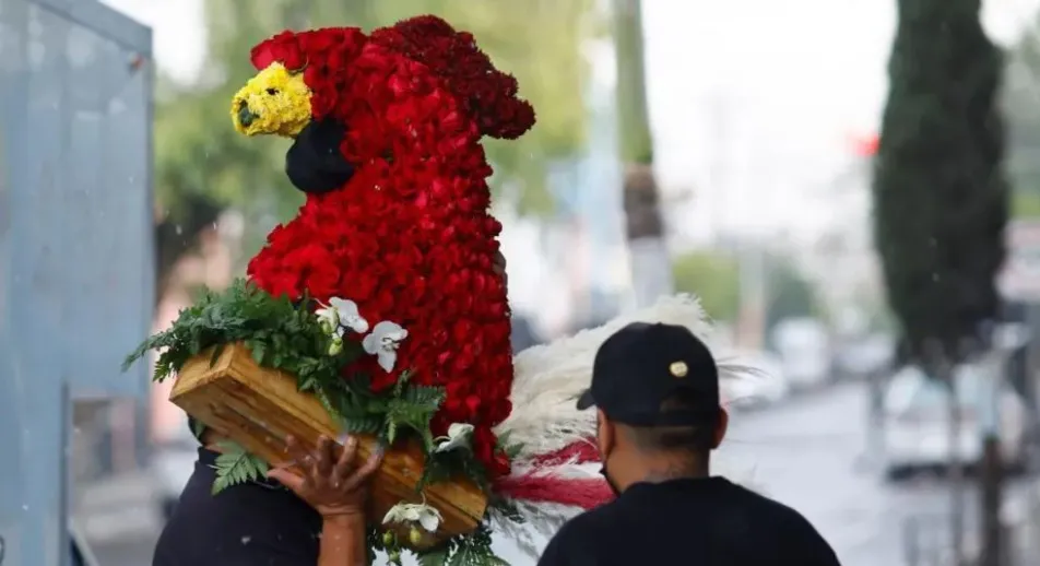 Мексиканского наркобарона Эль Менчо похоронили в золотом гробу Мексиканского наркобарона Эль Менчо похоронили в золотом гробу - today.ua