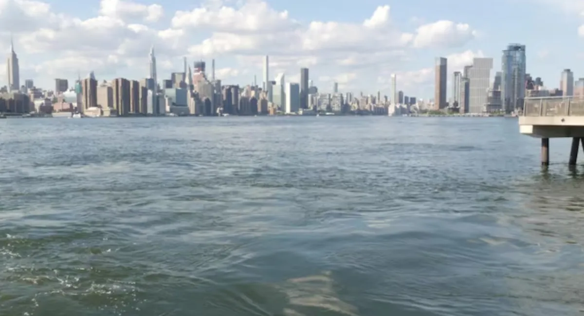 Еще одно чудо на Гудзоне: пилот и пассажир сами доплыли до берега - today.ua