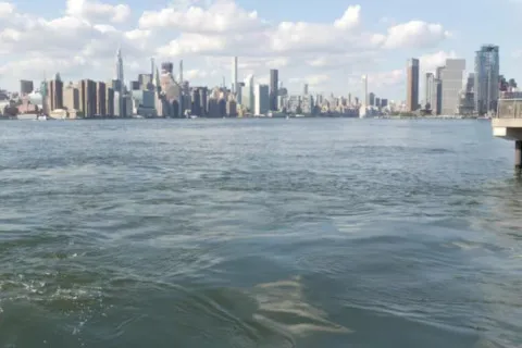 Еще одно чудо на Гудзоне: пилот и пассажир сами доплыли до берега