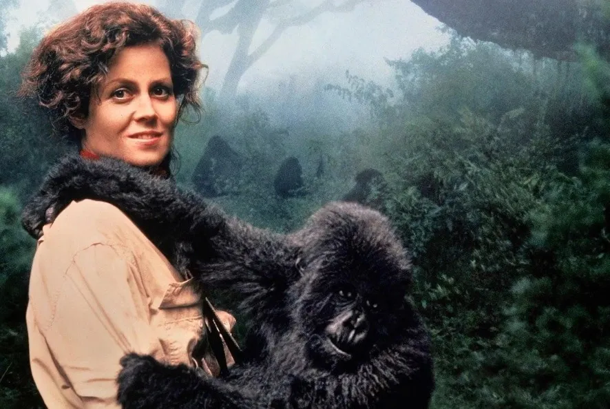 8 фильмов о выдающихся женщинах, которые стоит посмотреть к 8 марта: истории, изменившие мир - today.ua