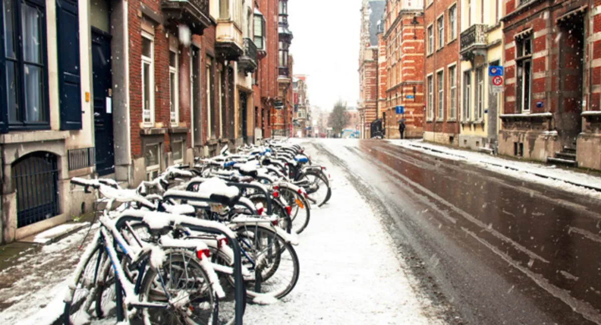 Суд Бельгии: отец, который опубликовал видео удара велосипедиста по девочке, выиграл дело - today.ua