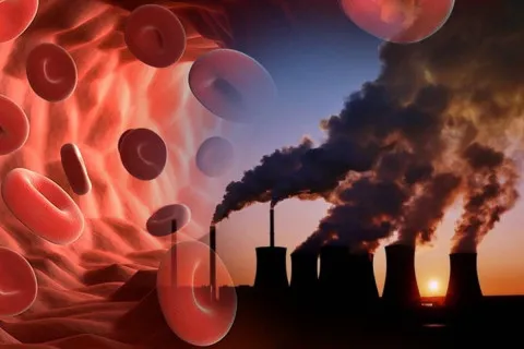 Человеческий организм может не выдержать: ученые заявили, что загрязненный воздух уже изменяет кровь людей