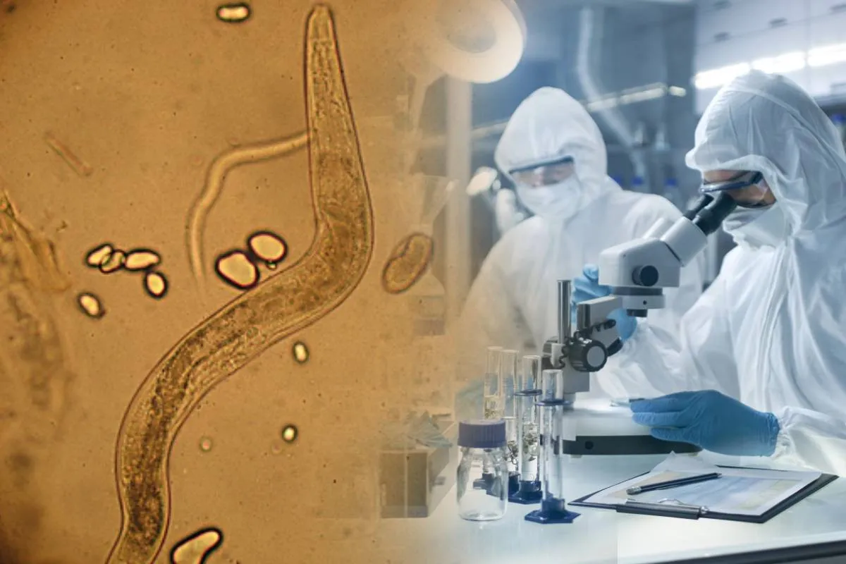 Доисторические организмы возвращаются: ученые оживили существо, которое пролежало замороженным 46 тысяч лет - today.ua