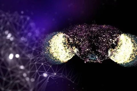 Первый шаг к цифровой жизни: ученые оживили виртуальное существо (видео)