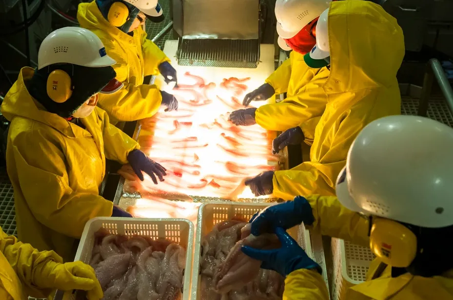 Сезонний заробіток: як шестеро студентів за літо заробили по 15 тис. доларів - today.ua