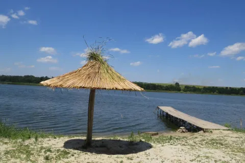 Невидима загроза у водоймах: смертельна амеба поширюється через глобальне потепління