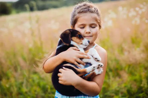 UAnimals і Міносвіти запускають уроки гуманного ставлення до тварин