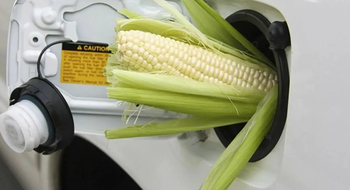 С 1 мая украинские АЗС начали продавать бензин со спиртом - today.ua