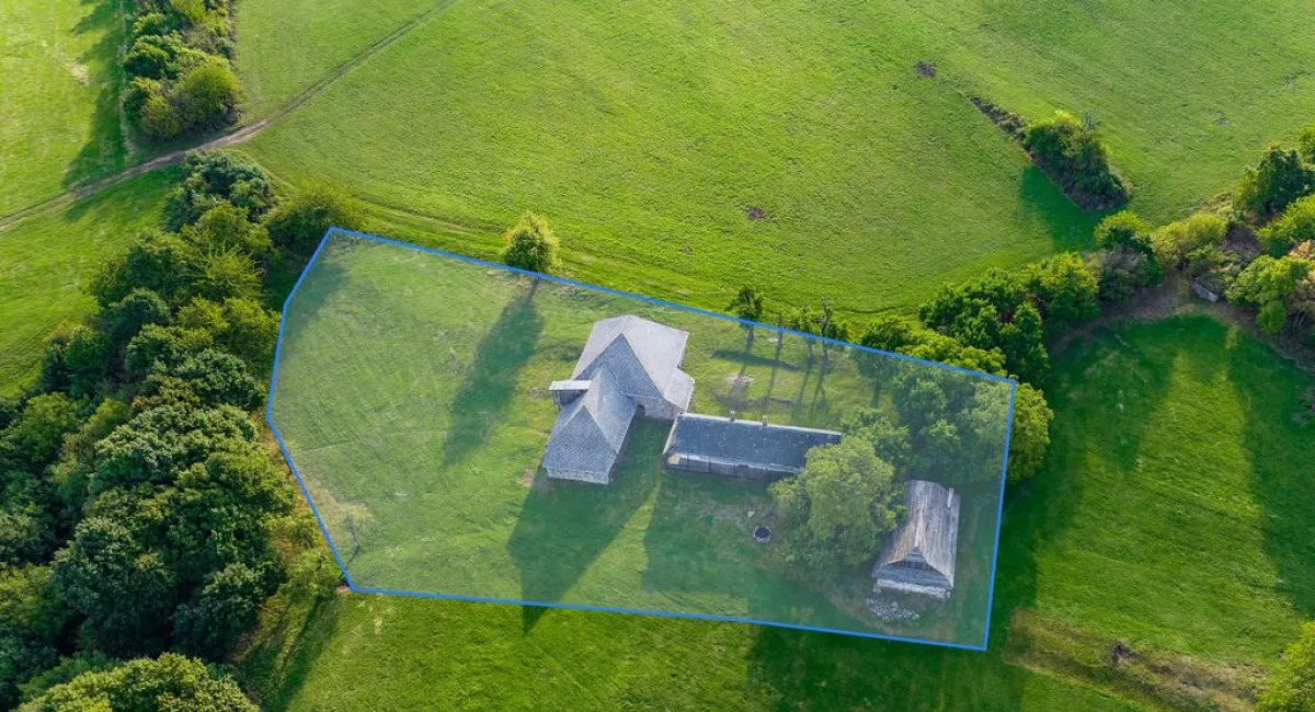 Приватизація землі: уряд готує суттєві зміни до процесу отримання кадастрового номера на ділянку - today.ua