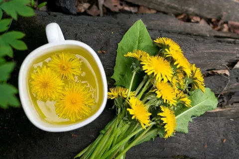 Чай з кульбаб – це смачно і корисно: як діє на організм натуральний напій