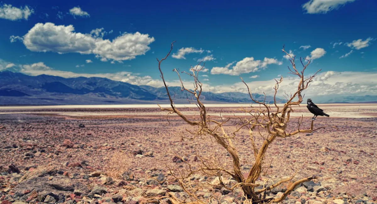 Земля стане непридатною для життя вже зовсім скоро, і це не гіпотеза, - учені - today.ua
