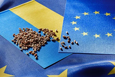 Своя сорочка до тіла ближче:  Євросоюз скасовує торговий безвіз для України