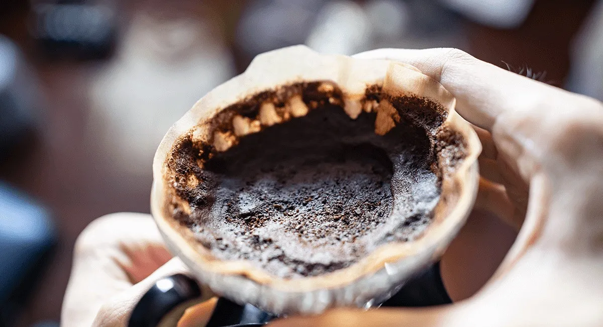 Чому не варто викидати кавову гущу: знадобиться в побуті, догляді за шкірою та в городі - today.ua