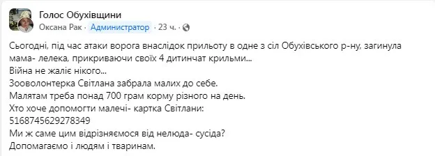 На Киевщине мама-аистиха погибла, прикрыв своих детей во время атаки беспилотников (Видео) - today.ua
