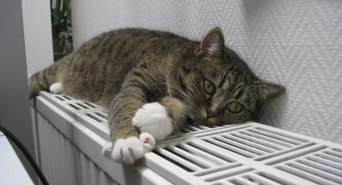 Украинцев предупредили о повышении тарифов на тепло в полтора раза - today.ua