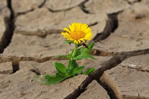 Украина превращается в обезвоженную пустыню: войны за воду в Европе станут реальностью