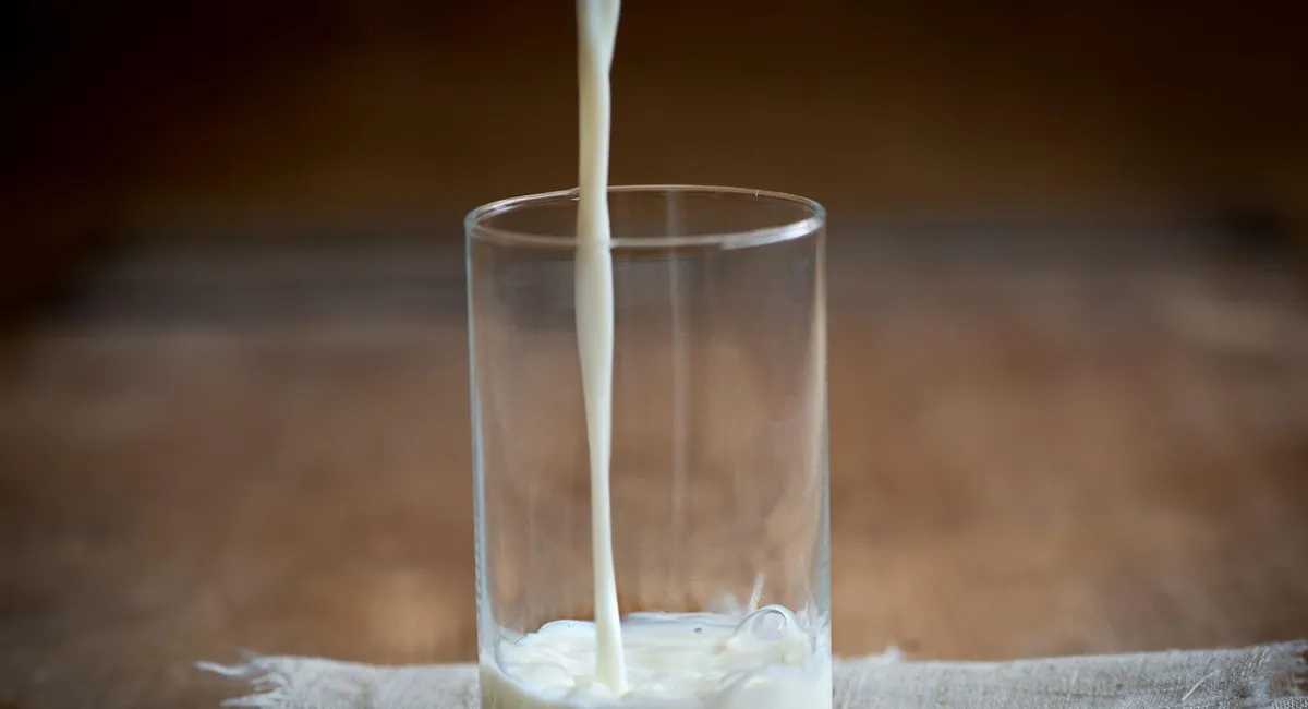 Чи корисне молоко: дієтолог розповіла про плюси та мінуси вживання напою - today.ua