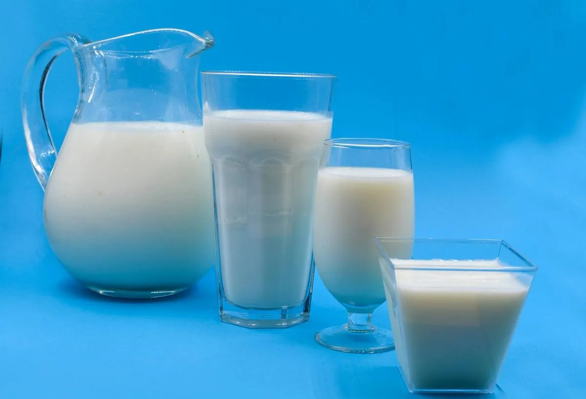Чи корисне молоко: дієтолог розповіла про плюси та мінуси вживання напою - today.ua