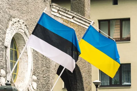 Естонія змінює посла в Україні: хто така Тійна Інтельманн і чим вона може допомогти Києву