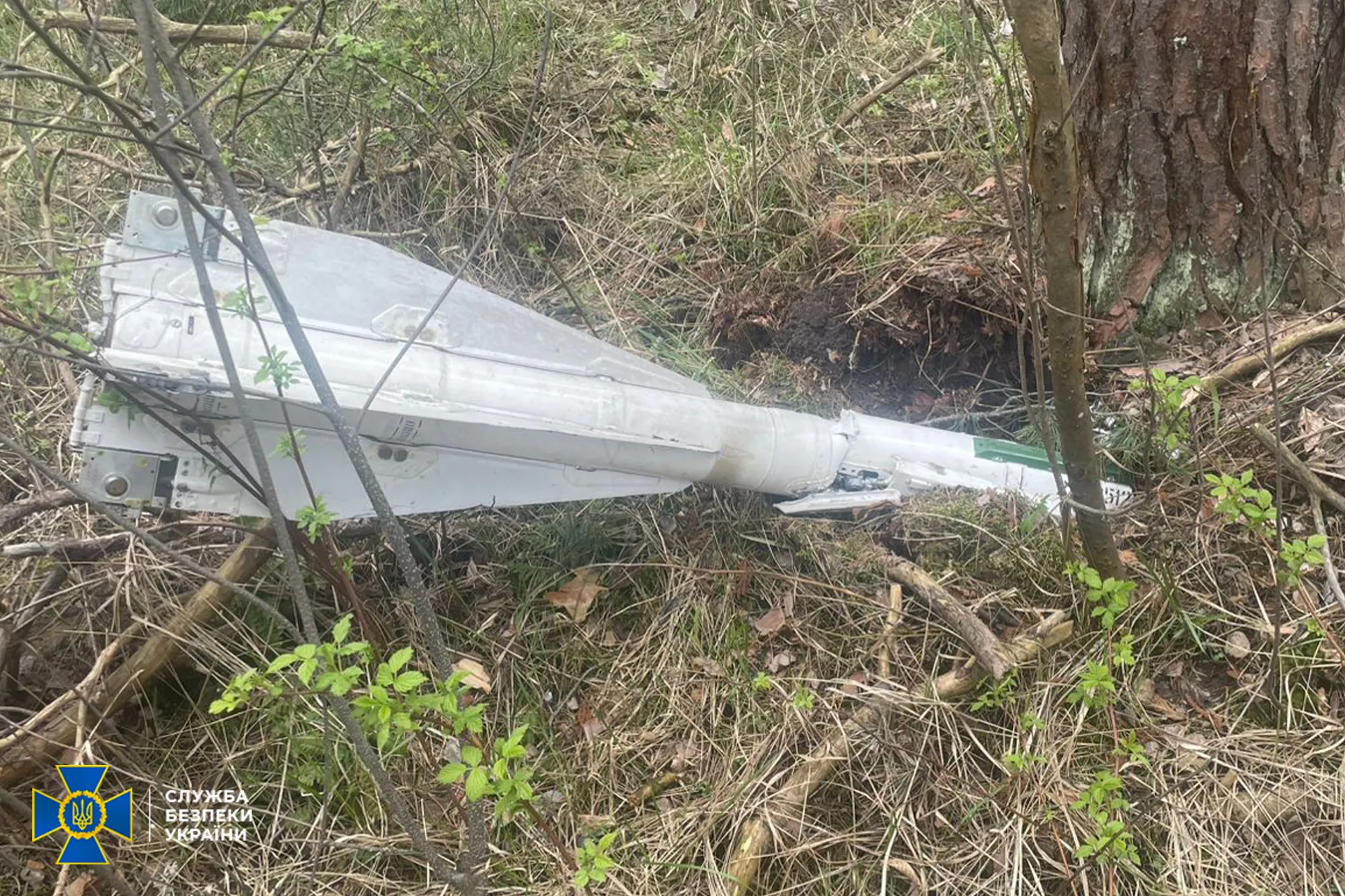 На Чернігівщині СБУ виявила підвищену радіацію на уламках російського дрона На Чернігівщині СБУ виявила підвищену радіацію на уламках російського дрона - today.ua