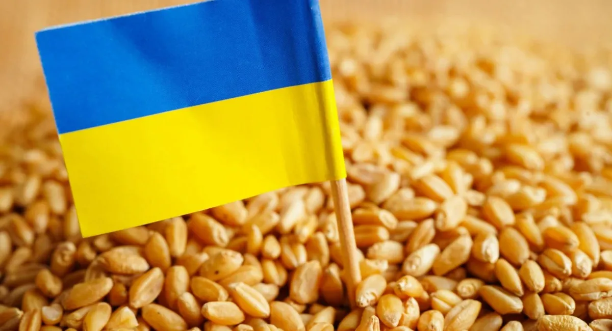 Венгрия продолжит запрет на импорт сельхозпродукции из Украины, введенный еще правительством Орбана - today.ua